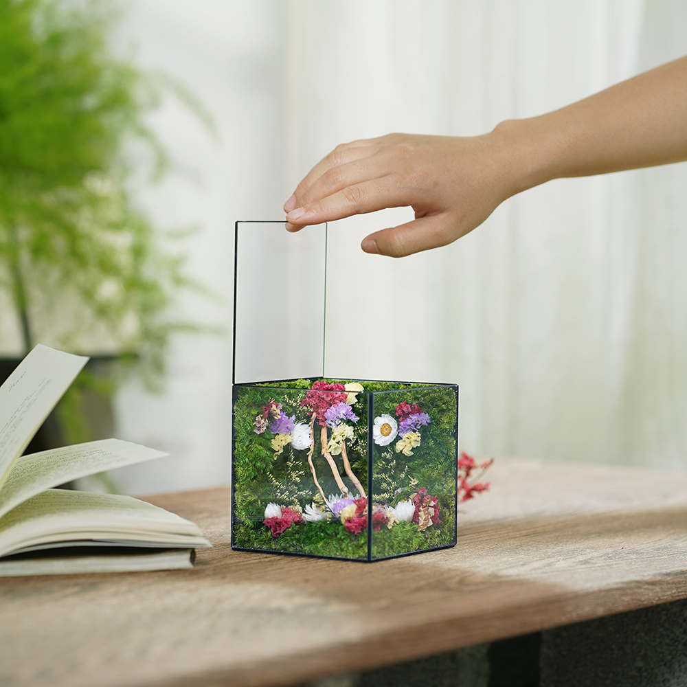 Everbloom Cubic 10x10 – Vibrant Moss Garden, Perfect Graduation Gift for Friends