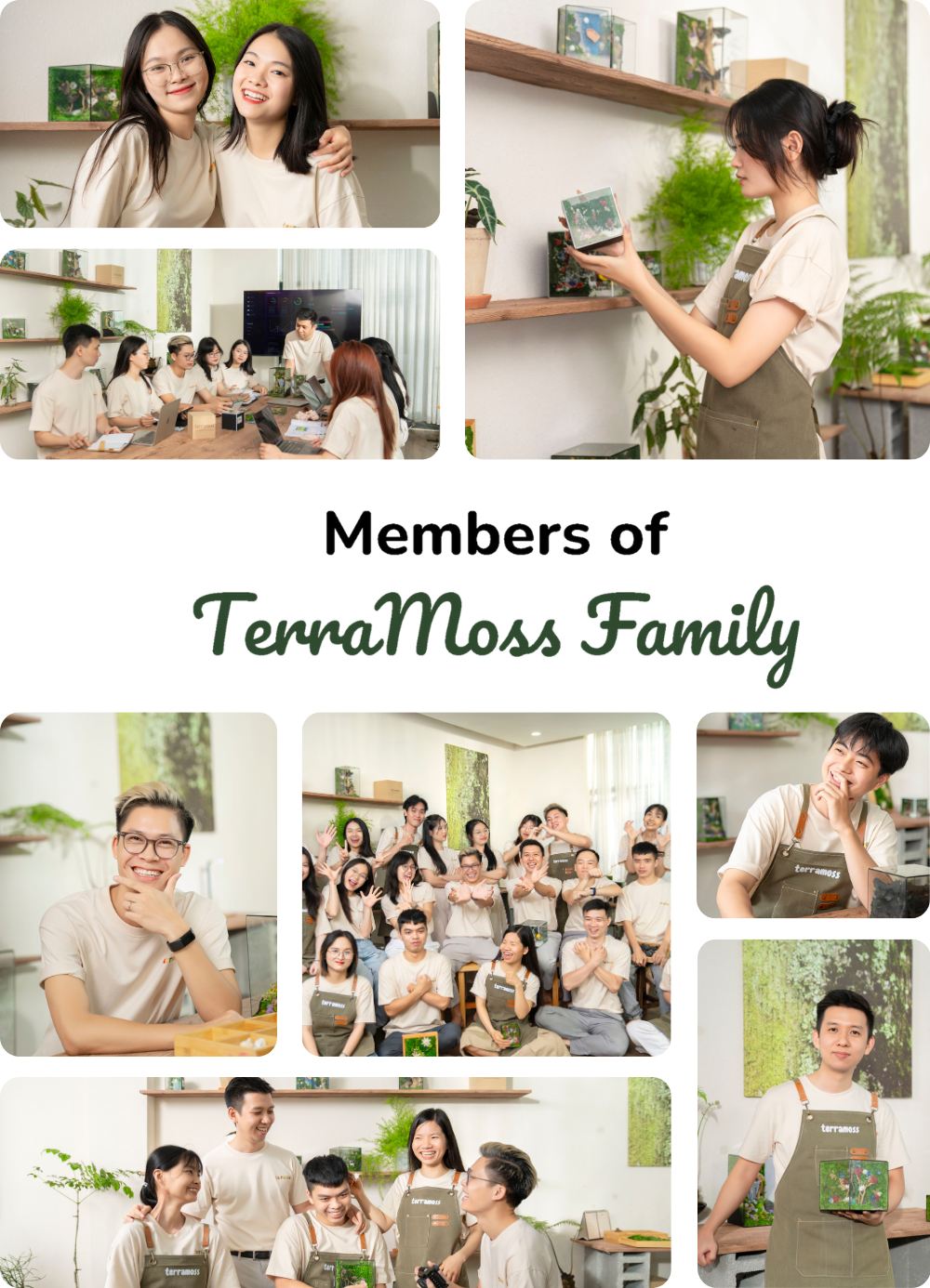 image of all member at terramoss