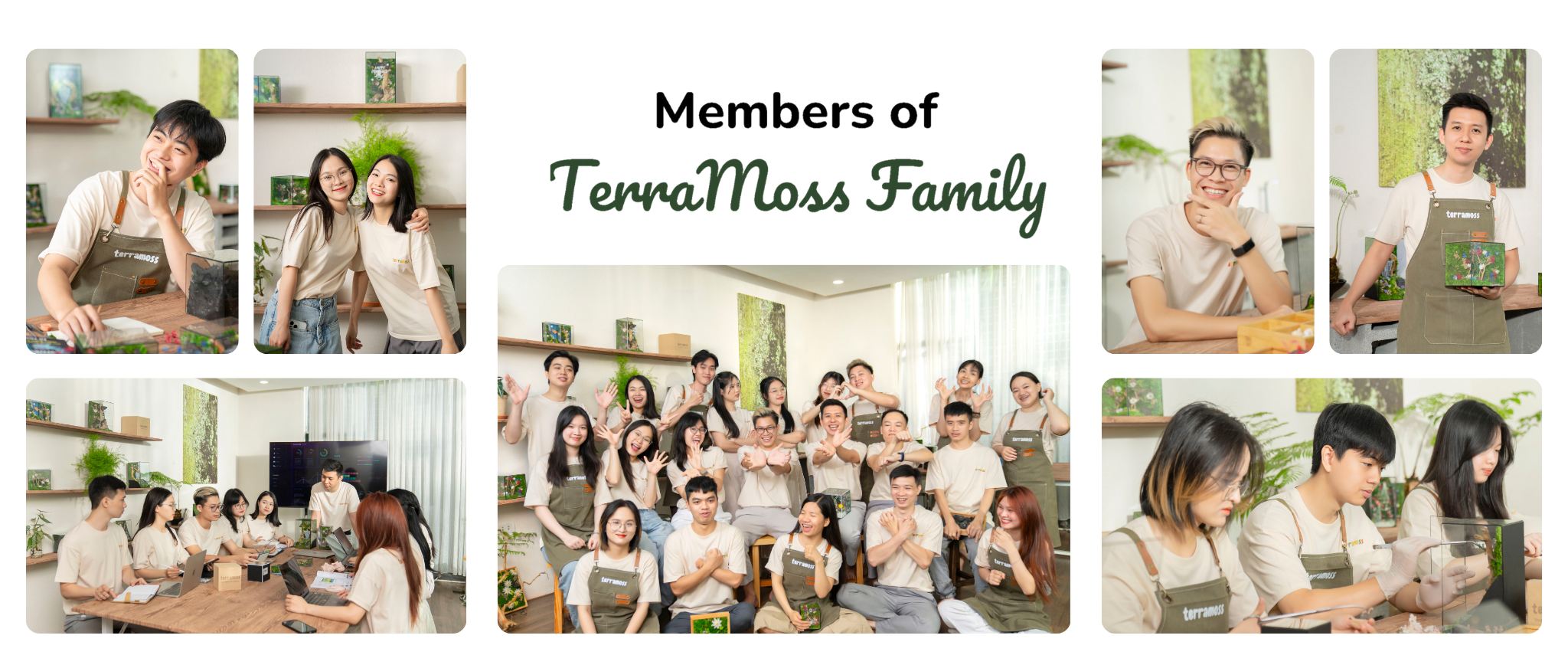 image of all member at terramoss