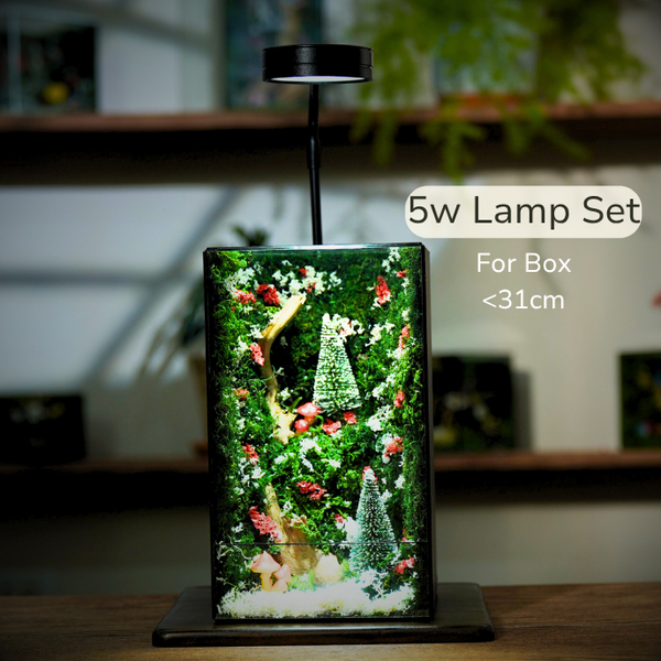 #ChristmasMediumCube
