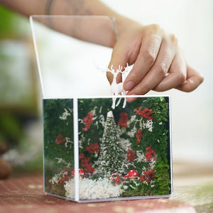 #10x10x10cm