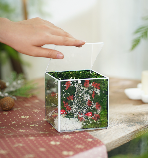 #ChristmasMiniCube