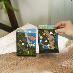Pocket Island