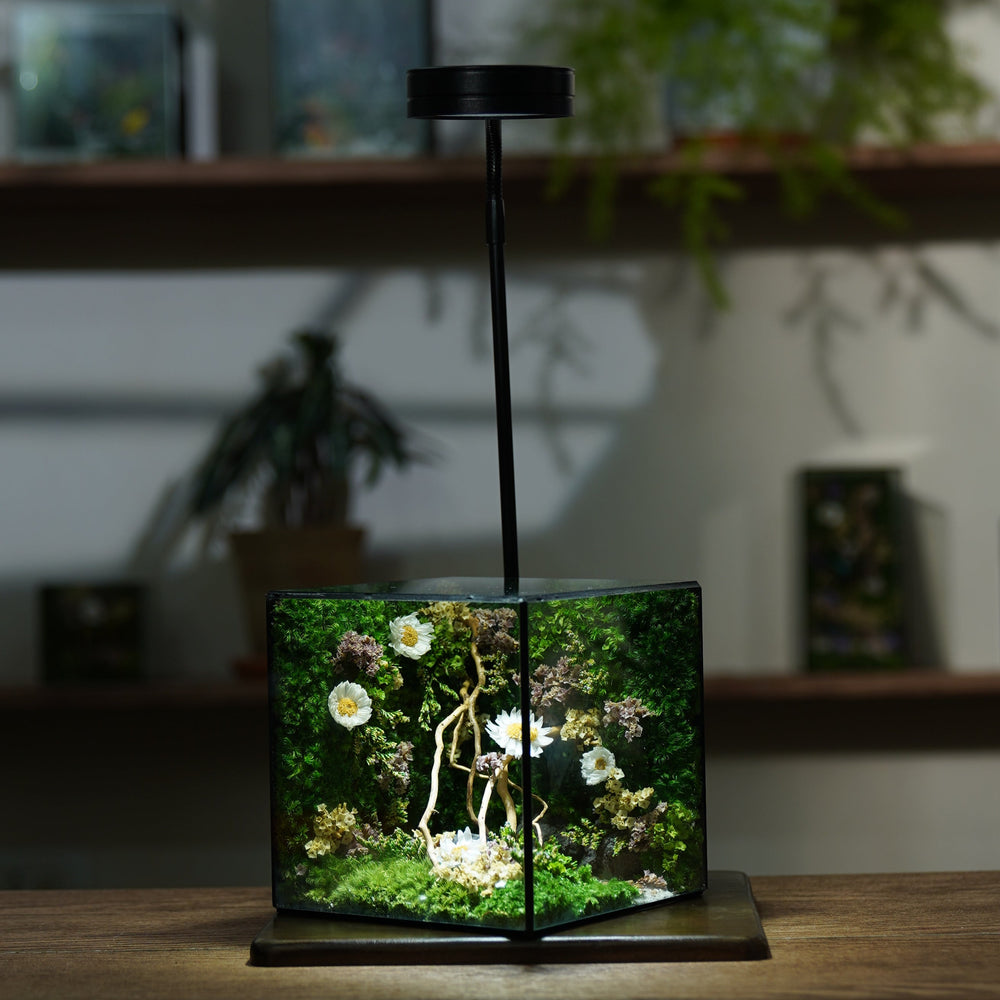 3W Lamp Set (for box <21cm)