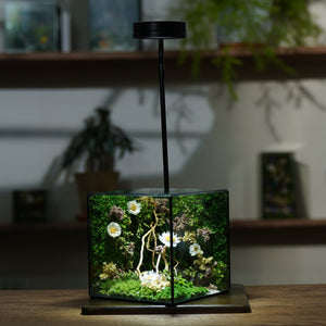 3W Lamp Set (for box <21cm)