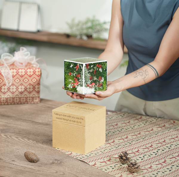 #ChristmasMiniCube