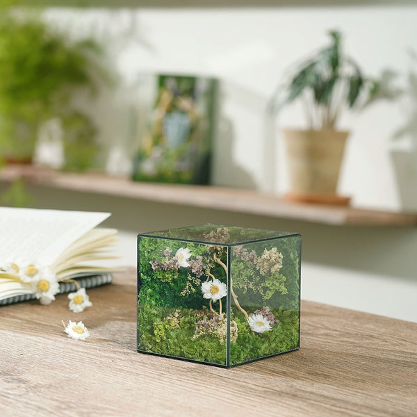 #dreamwishesminicube