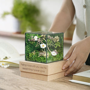#dreamwishesminicube