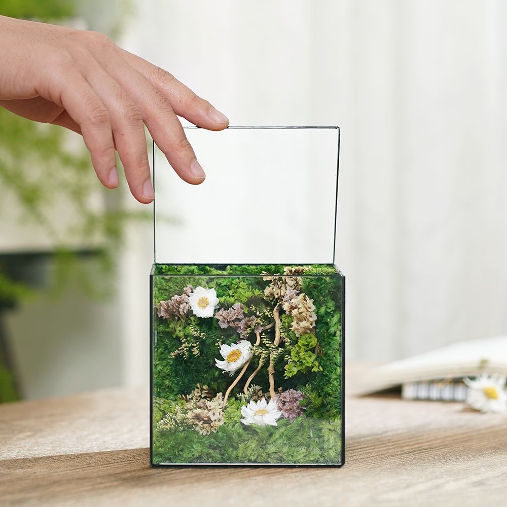 #dreamwishesminicube
