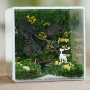 #10x10x10cm