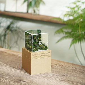 #10x10x10cm