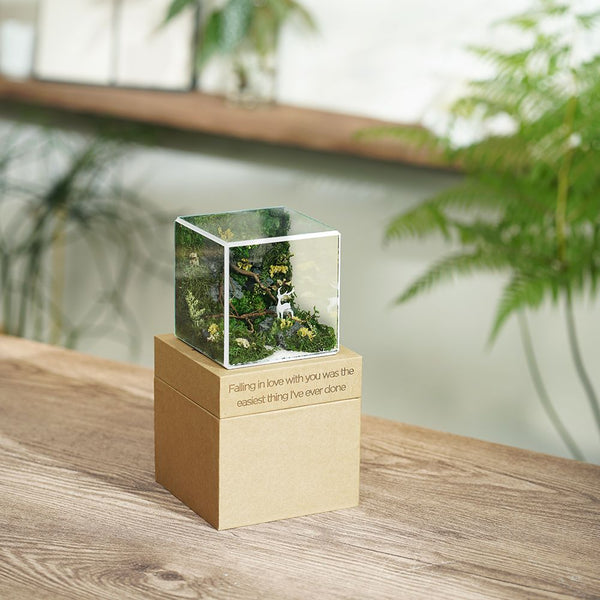 #10x10x10cm