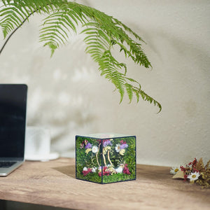 #everbloomminicube