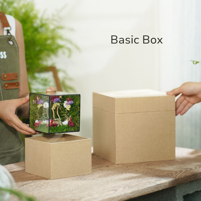 Box & Bow FREE