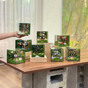 The Lil-Cube 10x10x10